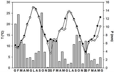 Linkage Between Site Features and Soil Characteristics Within a Mediterranean Volcanic Area